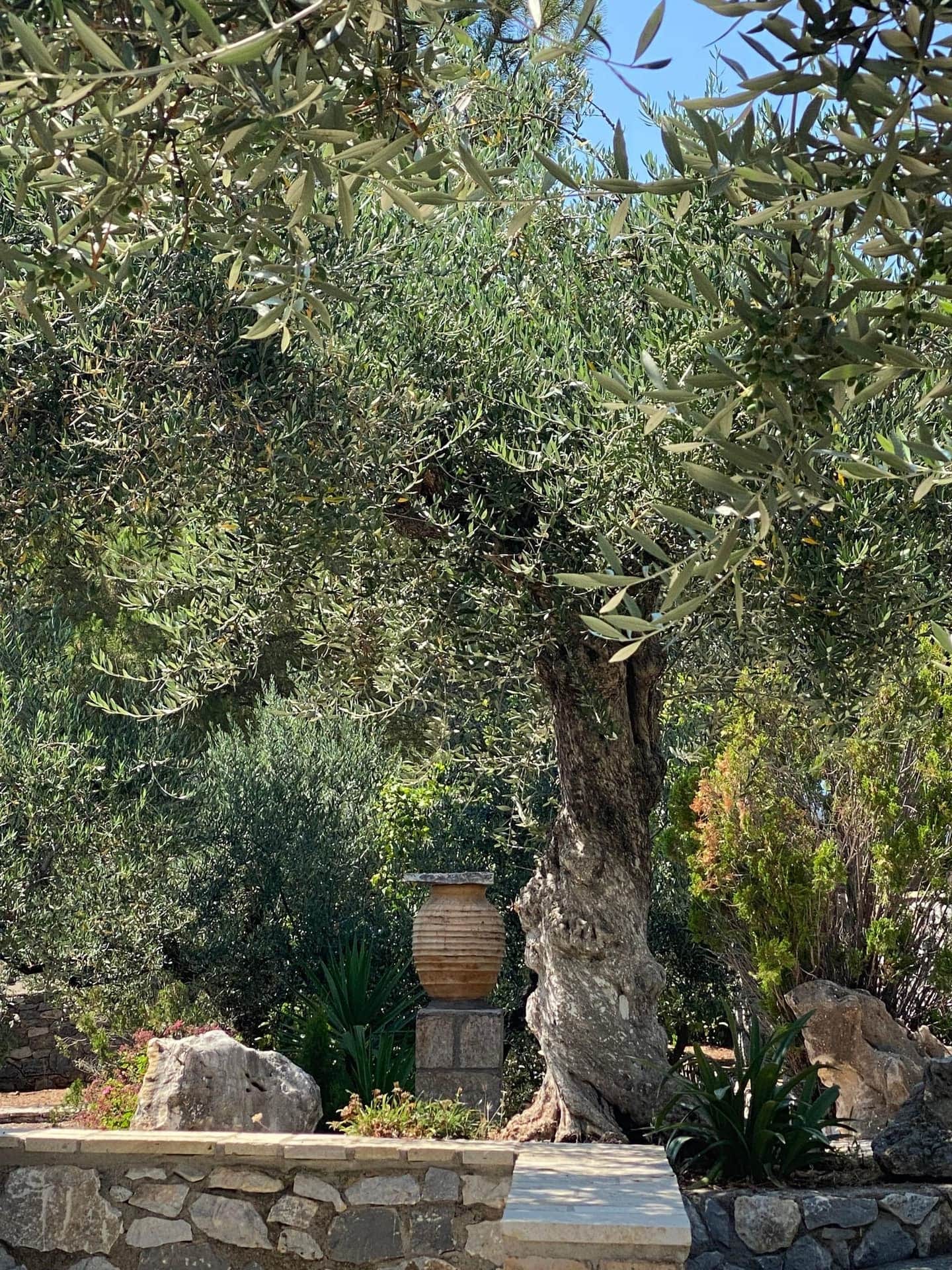 Βελλιαντάτικα